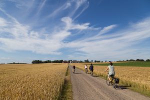 Ven, Sweden - August 06, 2015: Group of cyclist on the countryside on the swedish island Ven.